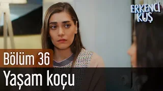 Erkenci Kuş 36. Bölüm - Yaşam Koçu