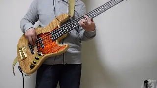 Cant' Take My Eyes Off You (Bass Cover)