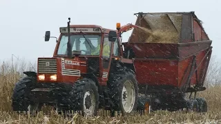 Fiat 130-90 Turbo DT Chopping Corn w/ Taarup 622 During a Snowstorm | Häckseln 2018 | Danish Agri