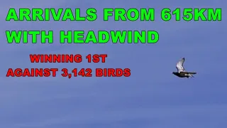 ARRIVALS FROM 615KM WITH HEADWIND