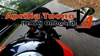 Aprilia Tuono V4 1100 | Insane Sound | Narrow Roads #6 | RAW Onboard