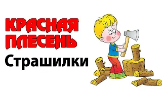 Красная плесень - Страшилки | Лучшие песни