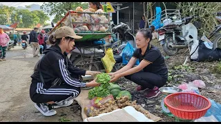 Harvest Vegetable Garden, Ginger, Papaya Goes to the market to sell | Ly Thi Tam