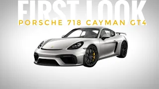 Porsche 718 Cayman GT4: First Look