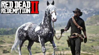 RED DEAD REDEMPTION 2 #63 | MEU NOVO CAVALO e OS ANIMAIS LENDÁRIOS!