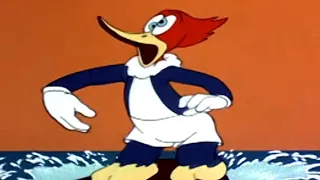 Woody Woodpecker classic | Beach Nut | Woody Woodpecker Full Episode| Old Cartoons | Videos for Kids