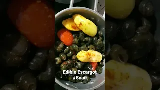 Naga food #snail #escargot #food #cooking #shorts #short