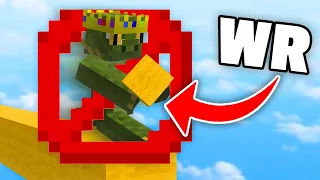 How I Accidentally Broke A Minecraft World Record...