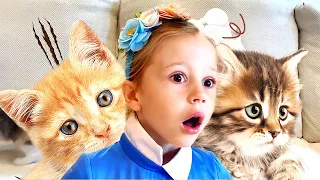 Nastya ve komik kedi hikayeleri | Çocuklar için videoların derlenmesi