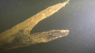 Loch Ness Dive 2018