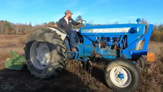 Ford 5000 2022 Mowing. Cutting Back Fields.