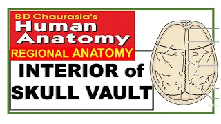 Chp1 | Interior of Skull | VAULT Interior | SKULL | BD Chaurasia Regional Anatomy | Dr Asif Lectures