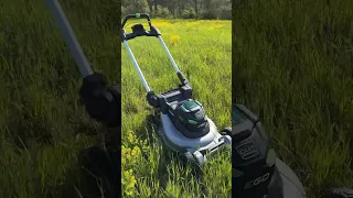 Try this GAS mower GUY!