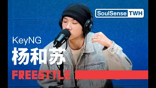 【杨和苏KeyNG】“天地间都容不下老子的野心”现场呈现《威武》|SoulSense TWH-Freestyle