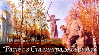 Песня - "Растёт в Сталинграде Берёзка" -  Заслуженная артистка России Татьяна Шереметева