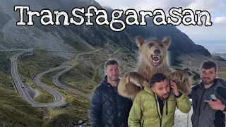 Румыния – Трансфагараш на машине, медведи вышли к людям, необычный монастырь и снова Дракула