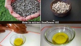How to make Sunflower oil at home
