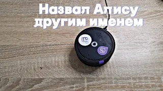 Назвал Алису другим именем 😱 лучшие приколы 2022 / яндекс Алиса жгёт