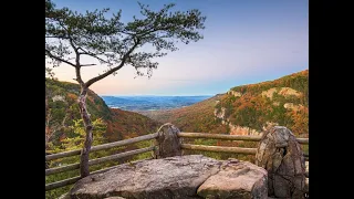 North Georgia Hiking Trails: Our Top 5 Favorite