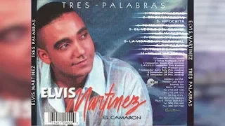 Elvis Martinez - Hipócrita (Audio Oficial) álbum Musical Tres Palabras - 2002