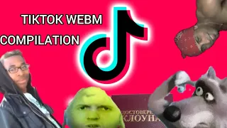 ЛУЧШИЕ МЕМЫ ИЗ ТИКТОК // TIKTOK WEBM COMPILATION 30