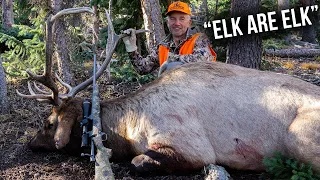 LESSONS LEARNED: Picking The Best Dates (Colorado Rifle Elk)