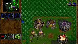 Warcraft 2 Chop Farms 2v2 (DAY/Shwebs)