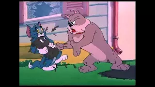 ᴴᴰ Tom and Jerry, Episode 60 - Slicked up Pup [1951] - P1/3 | TAJC | Duge Mite