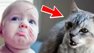 The baby had scratches, the mother installed the camera. The recording was terrifying!