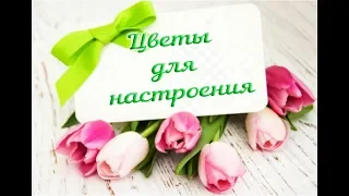 🌺Цветы для настроения. 🌺 Музыка для души - Сергей Чекалин