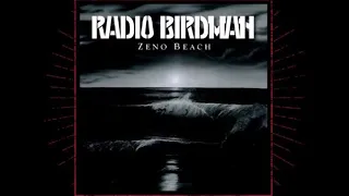 Radio Birdman - Found Dead