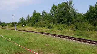 Harzer Schmalspurbahn 2021 / Die Selketalbahn (24.07.2021)