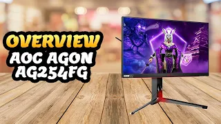 AOC AGON AG254FG 25 Inch Tournament Gaming Monitor ✅ Overview