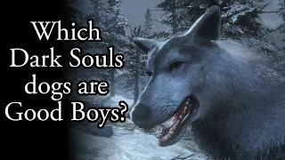 Who are the best dogs in Dark Souls?