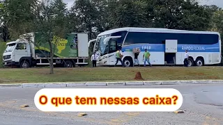 Criminosos tentaram me atropelar | Ônibus da RÁPIDO FEDERAL