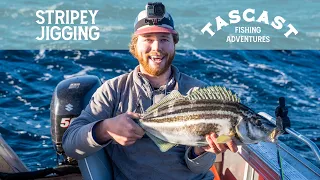 Jigging for FIERCE FIGHTING Striped Trumpeter | FISHING TASMANIA #Tascast