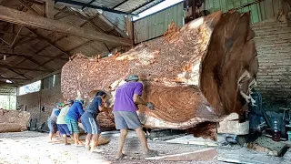 Timber apocalypse haunts the world !! Luxurious tamarind wood sawed into I Sawmill dining table