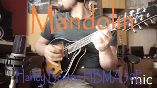 Harley Benton HBMA 50E - Manodlin