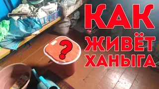 КАК И ГДЕ ЖИВЁТ ХАНЫГА ПОДЗАБОРНЫЙ | РУМТУР