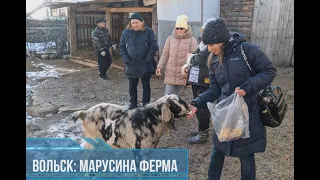 Козья "Марусина ферма" в городе Вольск