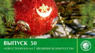 Новостной канал «Звенящие Кедры России» | Выпуск 50 от 31.12.2020