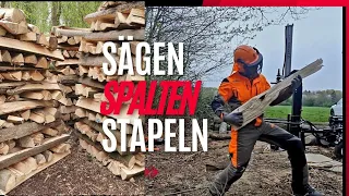 STIHL MS 261 | 5,5 SRM | Meter spalten | Jansen HS20-110