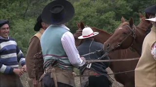 Las Mejores Zambas Los Chalchaleros Los Fronterizos Los Tucu Tucu Jorge Cafrune Cantores del Alba