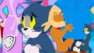 Tom y Jerry en Latino | Irritado Propietarios | WB kids