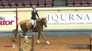 A Judges Perspective: 2016 AQHA Amateur Equitation Over Fences