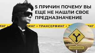 Трансерфинг реальности. Как найти свою цель в жизни и предназначение? [2021] Вадим Зеланд