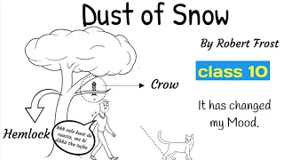 dust of snow class 10 in hindi / first flight poem dust of snow by robert frost #rkkilines