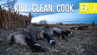 HUNTING CANADA GEESE | Montana Goose - Kill, Clean, Cook (Ep. 1)