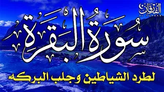 سورة البقرة كاملة لطرد الشياطين من منزلك وجلب البركه بإذن الله - surat albaqra