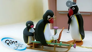 Pingu Helps Grandfather 🐧 | Pingu - Official Channel | Cartoons For Kids